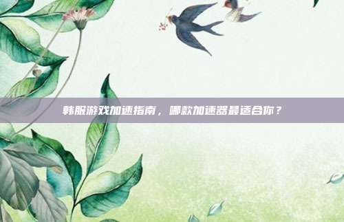 韩服游戏加速指南,哪款加速器最适合你?