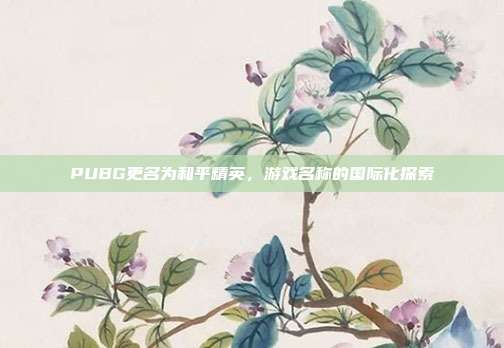 PUBG更名为和平精英,游戏名称的国际化探索