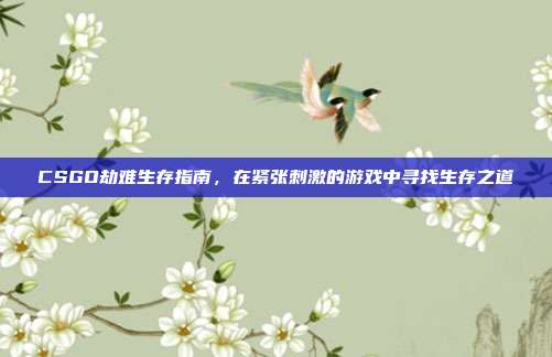 CSGO劫难生存指南,在紧张刺激的游戏中寻找生存之道