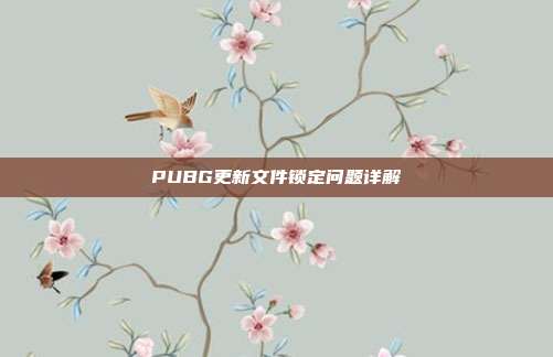 PUBG更新文件锁定问题详解
