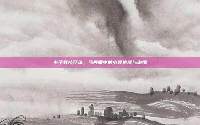 电子竞技狂热,马丹眼中的电竞挑战与激情