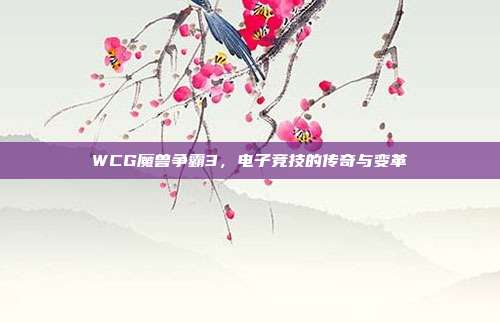 WCG魔兽争霸3,电子竞技的传奇与变革