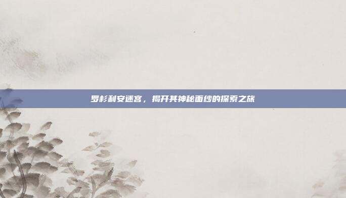 罗杉利安迷宫,揭开其神秘面纱的探索之旅