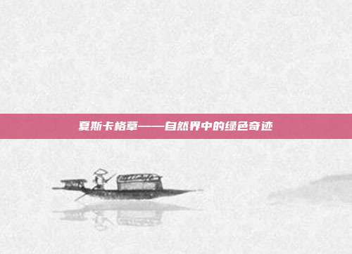 夏斯卡格草——自然界中的绿色奇迹