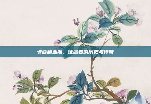 卡西利亚斯,征服者的历史与传奇