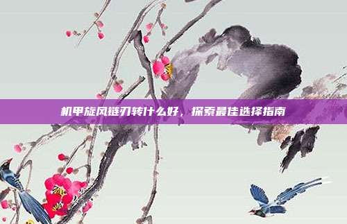 机甲旋风链刃转什么好,探索最佳选择指南