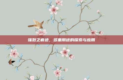 强烈之痕迹,多重用途的探索与应用