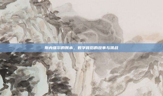 斯内维尔的账本,数字背后的故事与挑战