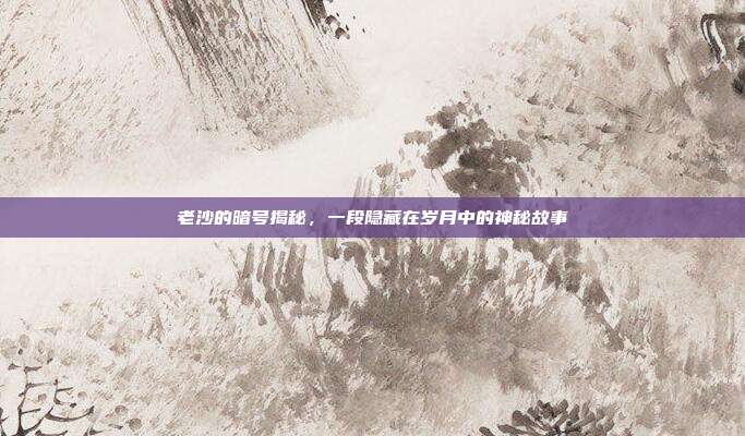 老沙的暗号揭秘,一段隐藏在岁月中的神秘故事