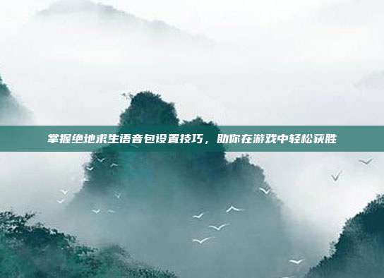 掌握绝地求生语音包设置技巧,助你在游戏中轻松获胜