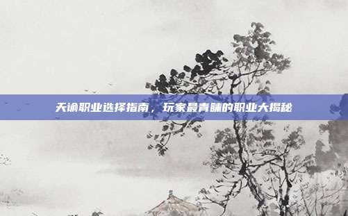天谕职业选择指南,玩家最青睐的职业大揭秘