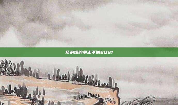 兄弟懂的拿走不谢2021