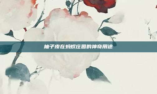 柚子皮在蚂蚁庄园的神奇用途