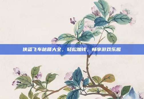 侠盗飞车秘籍大全,轻松加钱,畅享游戏乐趣