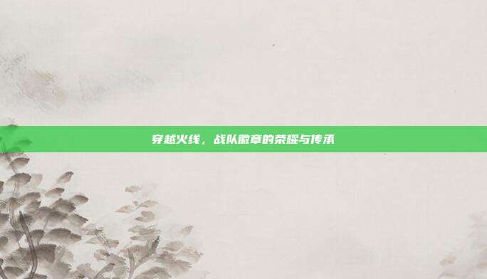 穿越火线,战队徽章的荣耀与传承