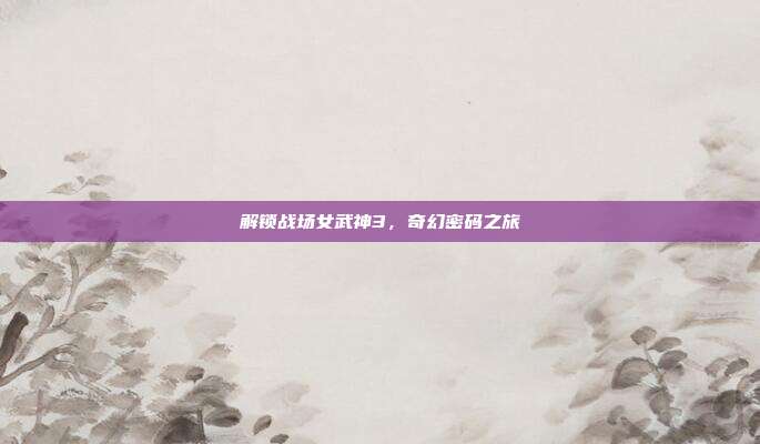 解锁战场女武神3,奇幻密码之旅