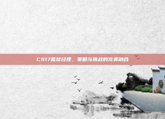 CS17篮球经理,策略与挑战的完美融合