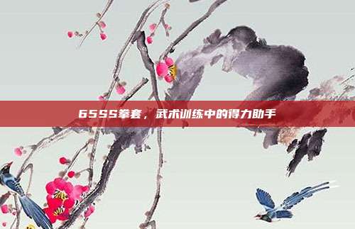 65SS拳套,武术训练中的得力助手