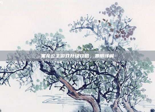 黑龙公主游戏升级攻略,费用详解