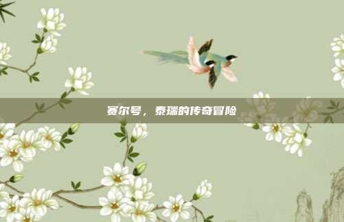 赛尔号,泰瑞的传奇冒险