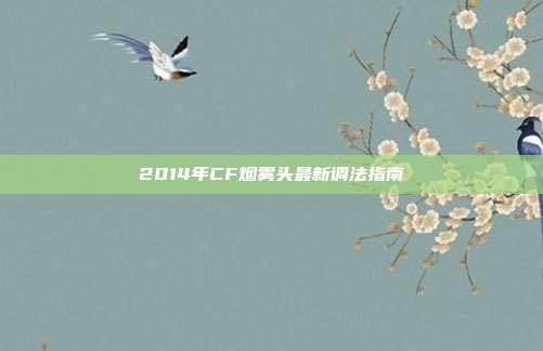 2014年CF烟雾头最新调法指南