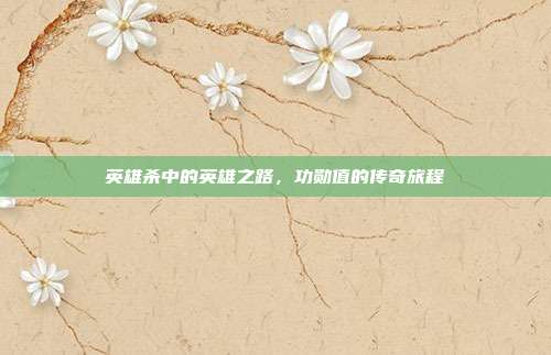 英雄杀中的英雄之路,功勋值的传奇旅程