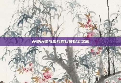 开罗历史与现代的口袋巴士之旅