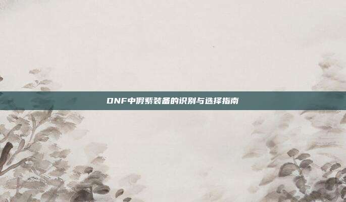 DNF中假紫装备的识别与选择指南