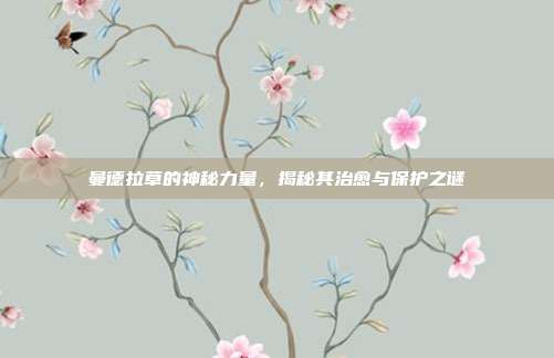 曼德拉草的神秘力量,揭秘其治愈与保护之谜