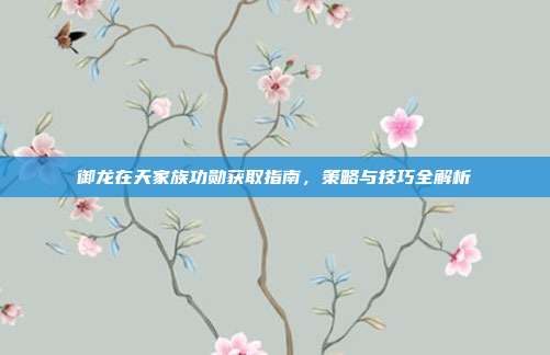 御龙在天家族功勋获取指南,策略与技巧全解析