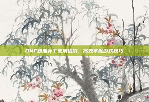 DNF技能补丁使用指南,高效掌握游戏技巧