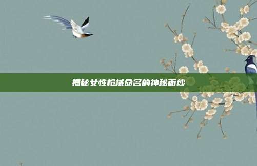 揭秘女性枪械命名的神秘面纱