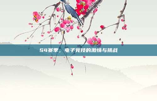 S4赛季,电子竞技的激情与挑战