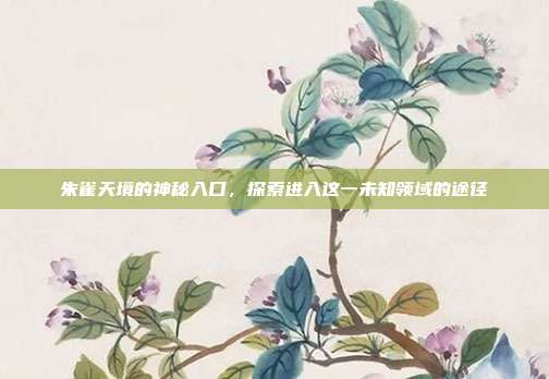 朱雀天境的神秘入口,探索进入这一未知领域的途径