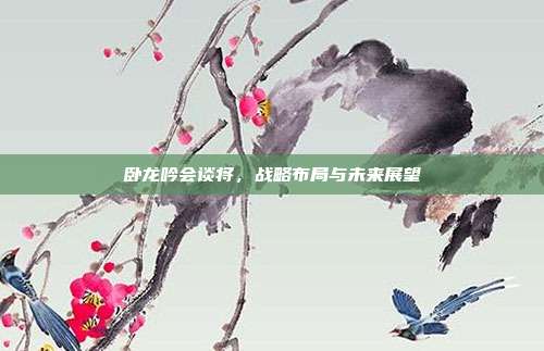 卧龙吟会谈将,战略布局与未来展望