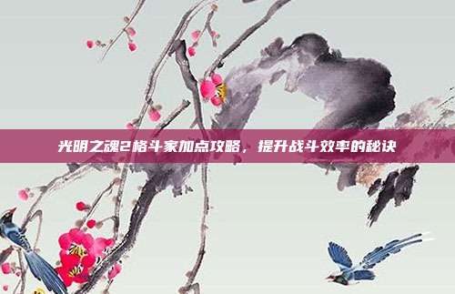 光明之魂2格斗家加点攻略,提升战斗效率的秘诀