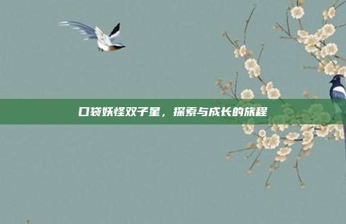 口袋妖怪双子星,探索与成长的旅程