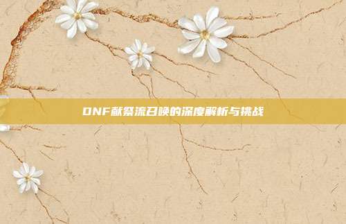 DNF献祭流召唤的深度解析与挑战