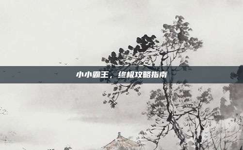 小小霸王,终极攻略指南