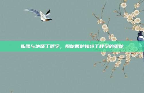 侏儒与地精工程学,揭秘两种独特工程学的奥秘