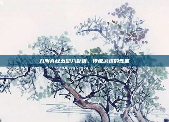 九阴真经五郎八卦棍,传统武术的瑰宝