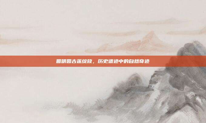 圆明园古莲绽放,历史遗迹中的自然奇迹