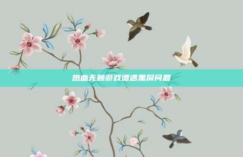 热血无赖游戏遭遇黑屏问题