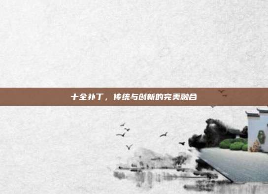 十全补丁,传统与创新的完美融合