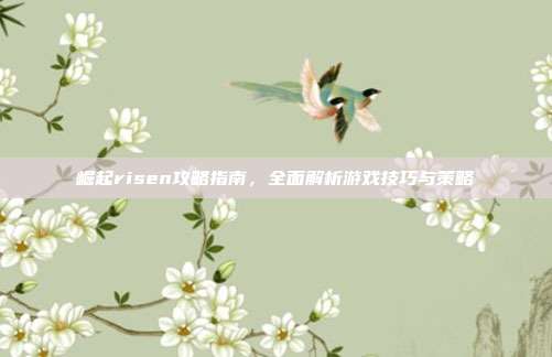 崛起risen攻略指南,全面解析游戏技巧与策略
