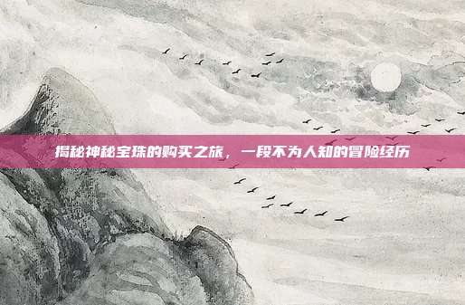 揭秘神秘宝珠的购买之旅,一段不为人知的冒险经历