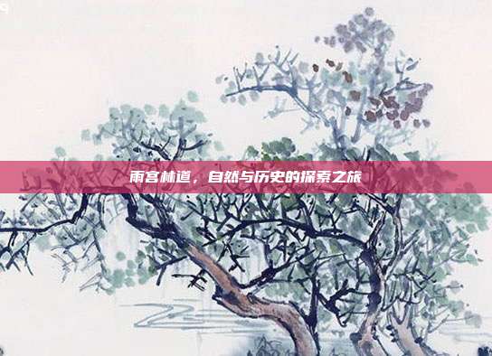 雨宫林道,自然与历史的探索之旅