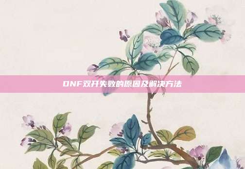 DNF双开失败的原因及解决方法