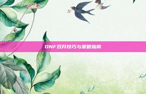 DNF双开技巧与策略指南