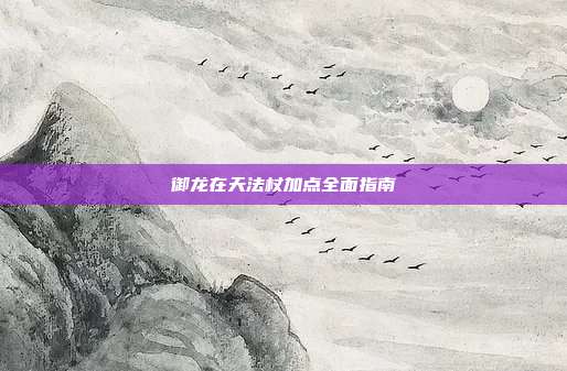 御龙在天法杖加点全面指南